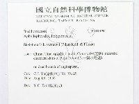 登錄號:F0019941藏品圖，第3張