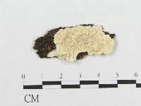登錄號:F0019941藏品圖，第1張