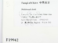 登錄號:F0019942藏品圖，第2張