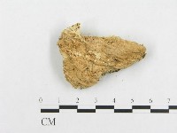 登錄號:F0019942藏品圖，第4張