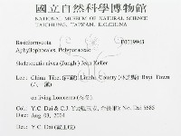 登錄號:F0019943藏品圖，第3張