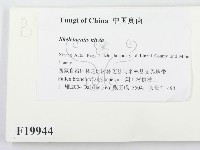 登錄號:F0019944藏品圖，第2張