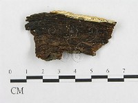 登錄號:F0019944藏品圖，第4張