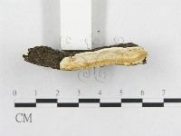 登錄號:F0019944藏品圖，第5張