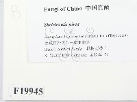 登錄號:F0019945藏品圖，第2張