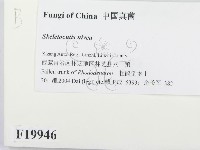 館號:F0019946藏品圖，第2張