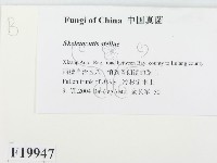 登錄號:F0019947藏品圖，第2張