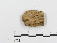 登錄號:F0019947藏品圖，第4張