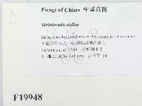 登錄號:F0019948藏品圖，第2張