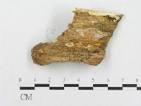 登錄號:F0019948藏品圖，第4張