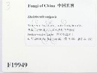 館號:F0019949藏品圖，第2張