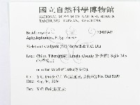 館號:F0019949藏品圖，第3張