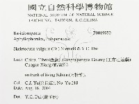 登錄號:F0019950藏品圖，第3張