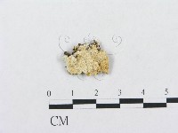 登錄號:F0019950藏品圖，第1張