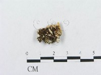 登錄號:F0019950藏品圖，第4張