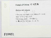 登錄號:F0019951藏品圖，第2張