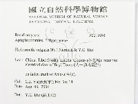 登錄號:F0019951藏品圖，第3張