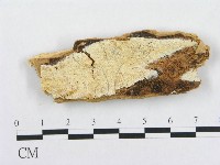 登錄號:F0019951藏品圖，第1張
