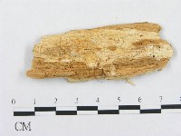 登錄號:F0019951藏品圖，第4張