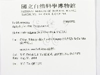 館號:F0019952藏品圖，第3張