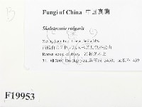 登錄號:F0019953藏品圖，第2張
