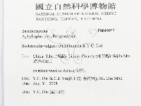 登錄號:F0019953藏品圖，第3張