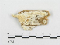 登錄號:F0019953藏品圖，第1張