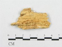 登錄號:F0019953藏品圖，第4張