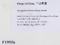 登錄號:F0019956藏品圖，第2張