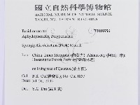 登錄號:F0019956藏品圖，第3張
