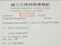 登錄號:F0019959藏品圖，第2張