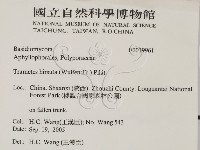 登錄號:F0019961藏品圖，第2張