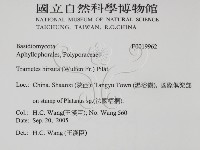 登錄號:F0019962藏品圖，第2張