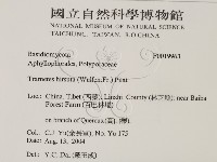 登錄號:F0019963藏品圖，第2張