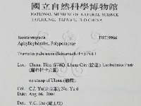 登錄號:F0019966藏品圖，第2張