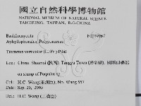 雲芝藏品圖，第2張