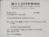 登錄號:F0019968藏品圖，第2張