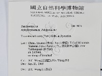 登錄號:F0019971藏品圖，第2張