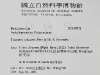 登錄號:F0019972藏品圖，第2張
