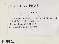 登錄號:F0019974藏品圖，第2張