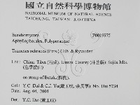 登錄號:F0019975藏品圖，第2張