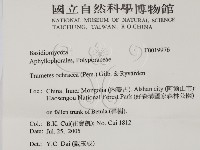 登錄號:F0019976藏品圖，第2張