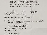 登錄號:F0019977藏品圖，第2張