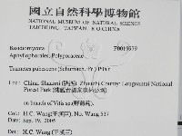 登錄號:F0019979藏品圖，第2張