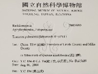 登錄號:F0019980藏品圖，第2張