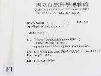 登錄號:F0019981藏品圖，第2張