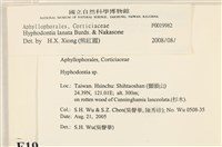 登錄號:F0019982藏品圖，第2張