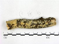 登錄號:F0019984藏品圖，第1張