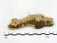 登錄號:F0019985藏品圖，第1張