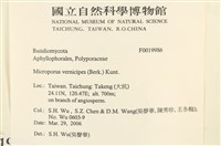 登錄號:F0019986藏品圖，第2張